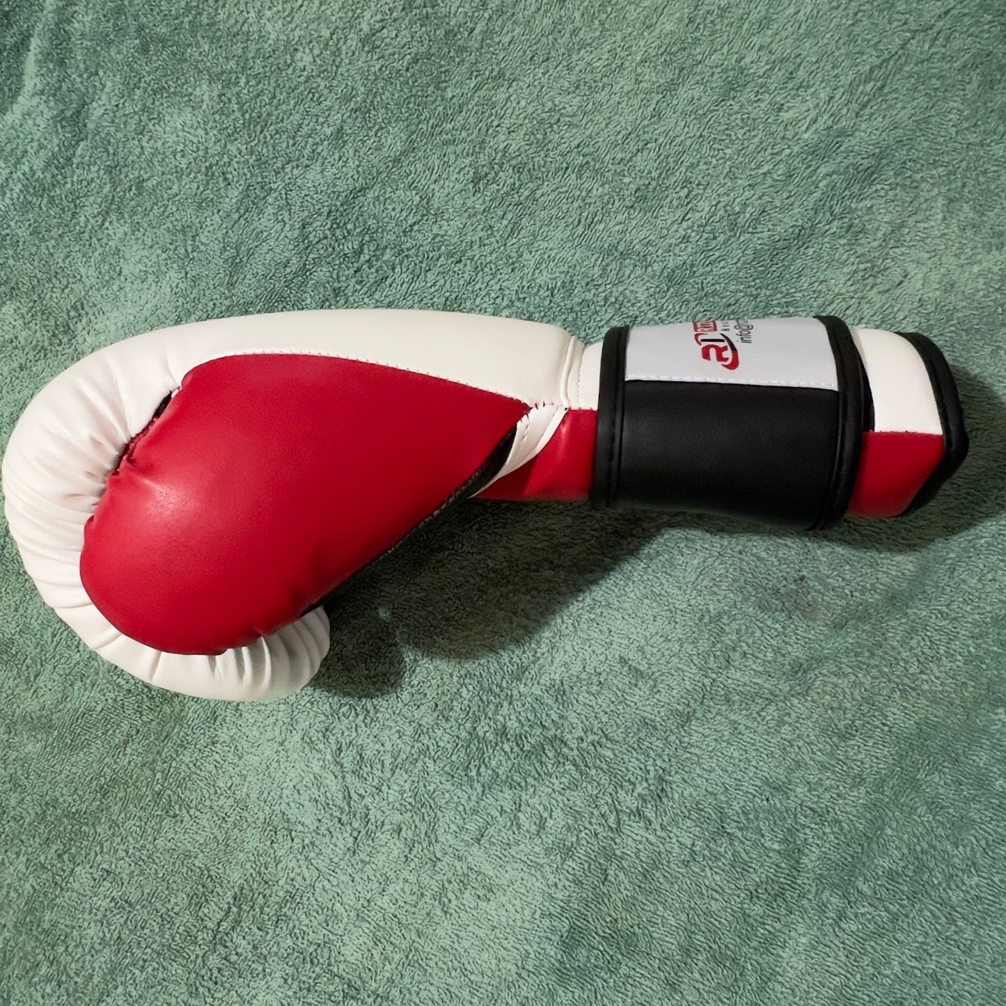 Boxing Gloves Brand new pro- style