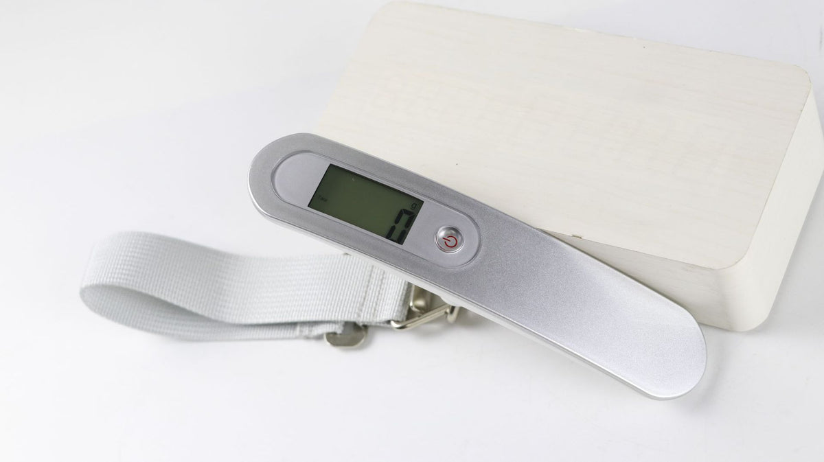 Portable Digital Luggage Hanging Scale