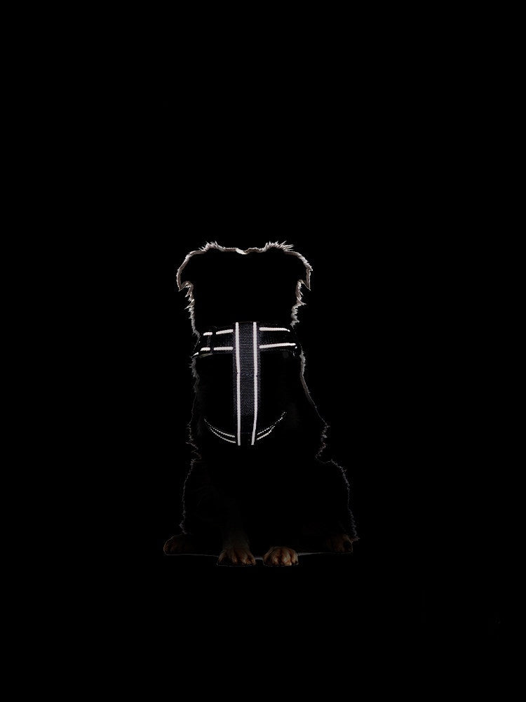 Adjustable Dog Harness with Reflective Leash