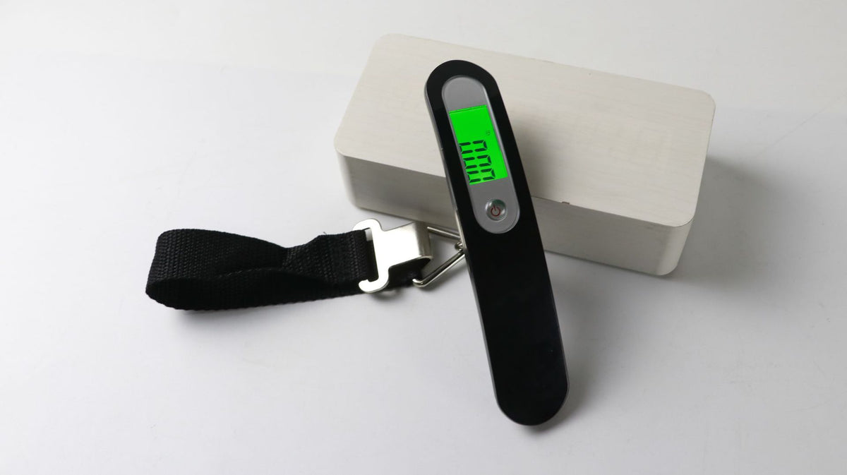 Portable Digital Luggage Hanging Scale
